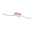 2d1e1cb0b294d13f597a8bf00ed3625e.webp