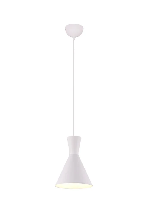 R30781031.jpg