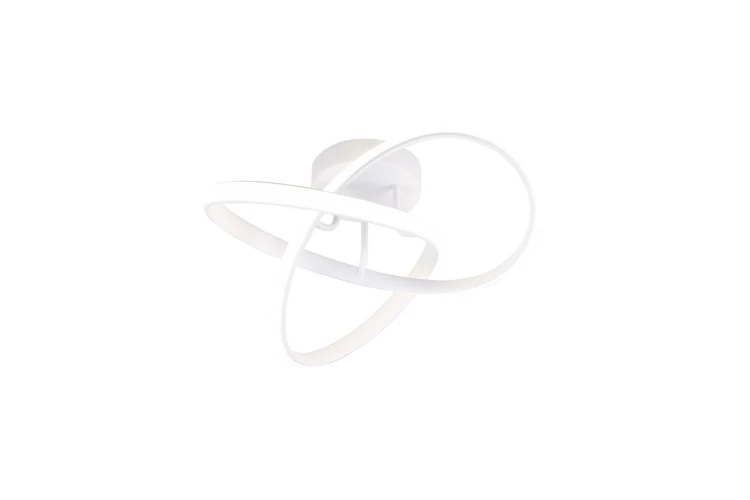 r62101131.jpg