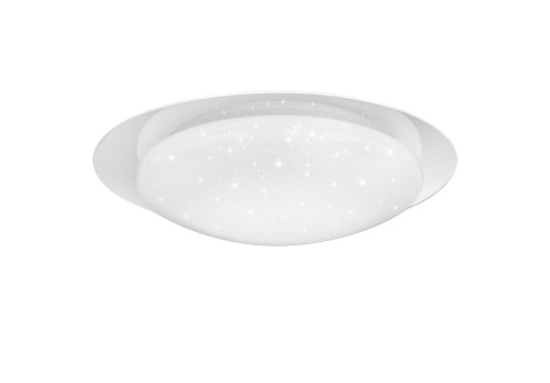 R62064800.jpg
