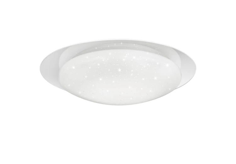 R62064800.jpg