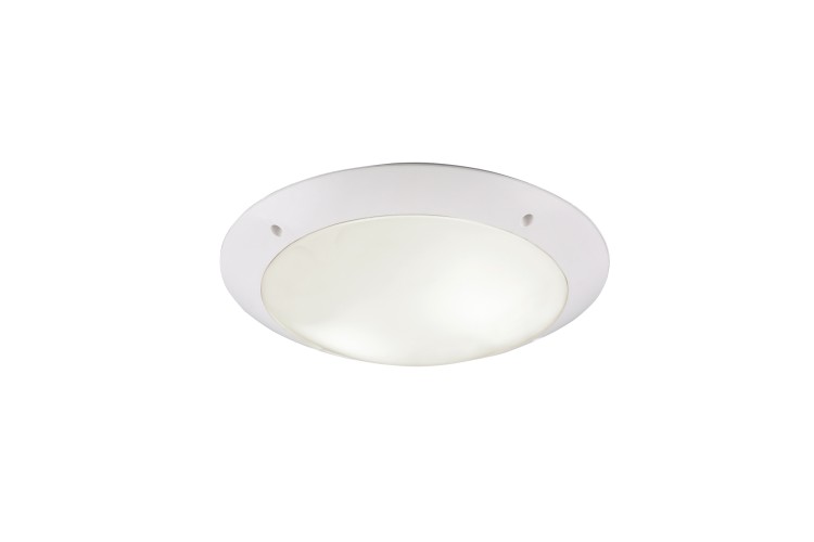 R60502031.jpg