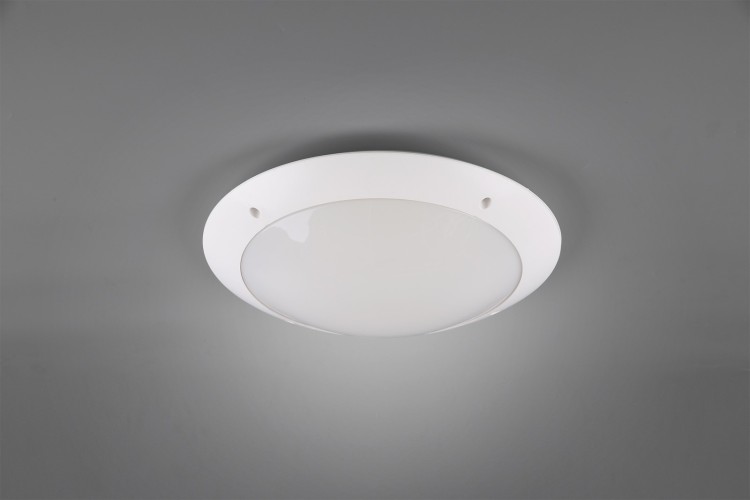 R60502031_1.jpg