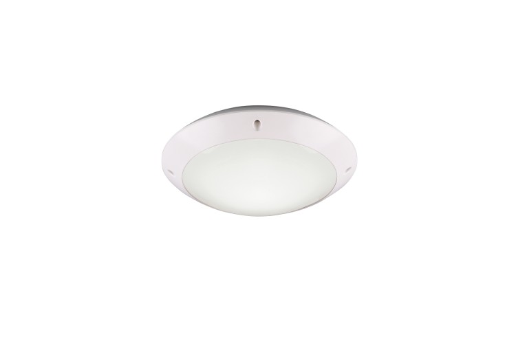 R60501031.jpg