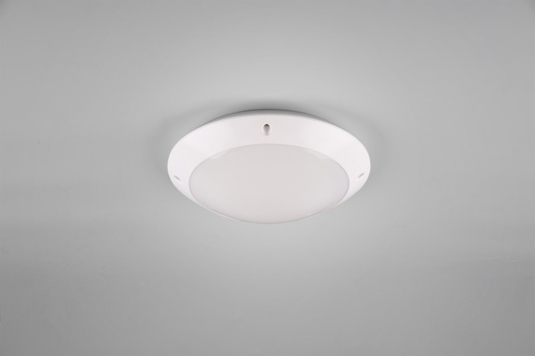 R60501031_1.jpg
