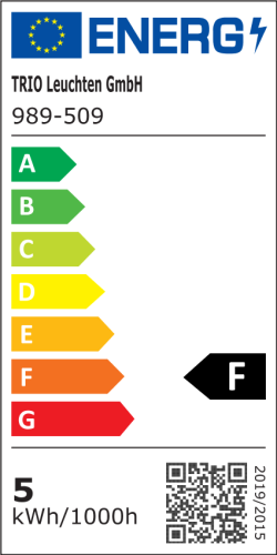 EEL_989-509.jpg