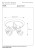 77974-15-17%20technical%20drawing.jpg