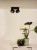 35911-16-30%20sf1.jpg