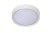 08109-01-31%20off.jpg
