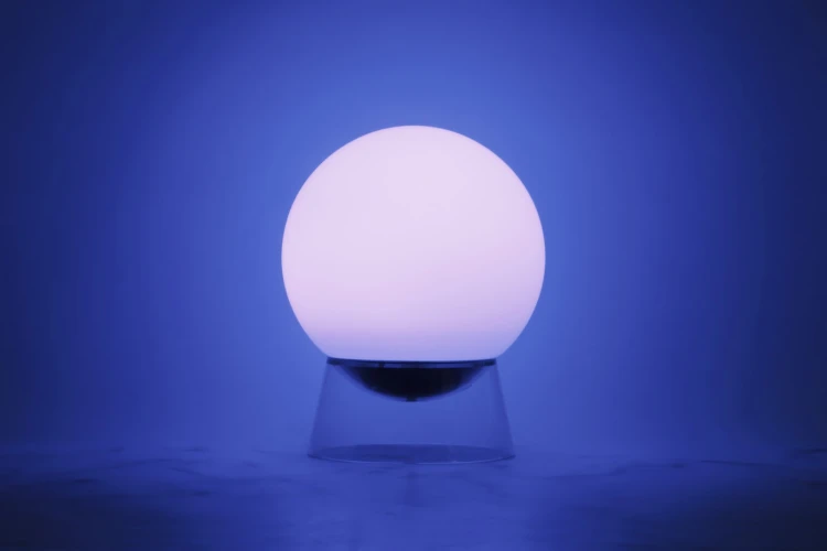 8500403012_05.jpg