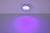 8304602446_06.jpg