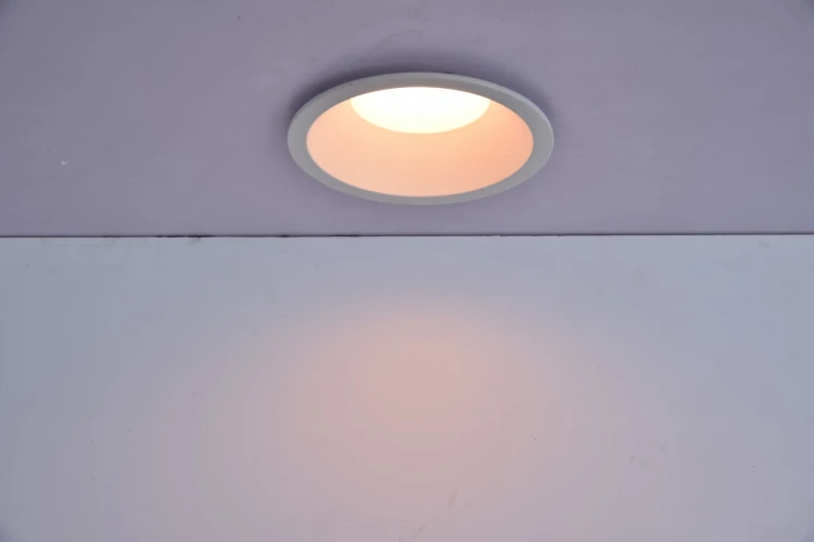 8304101446_08.jpg
