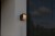 6993801118_5.jpg