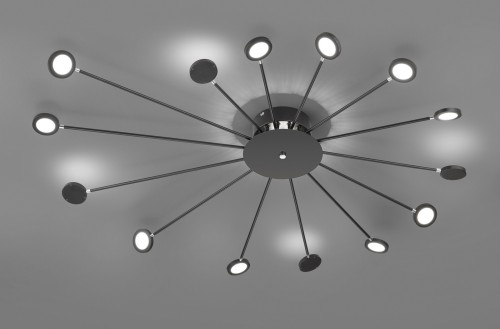679511532_1.jpg