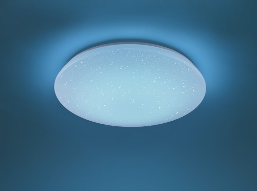 656010100_1.jpg
