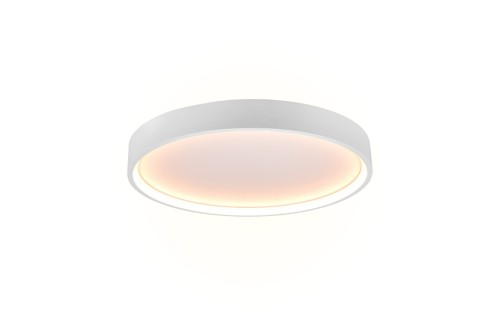 641310231_1.jpg