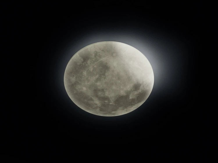 627514000_4.jpg