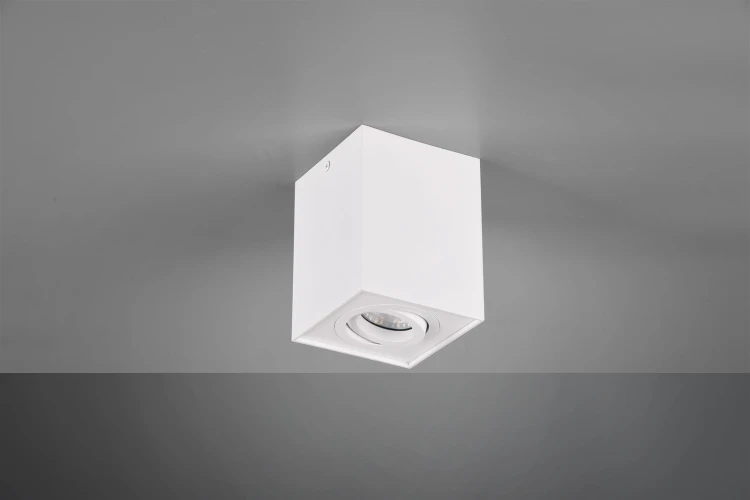 613000131_1.jpg
