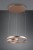 344110165_8.jpg