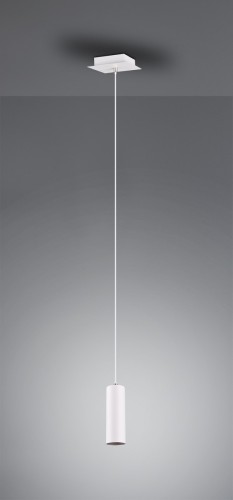 312400101_2.jpg