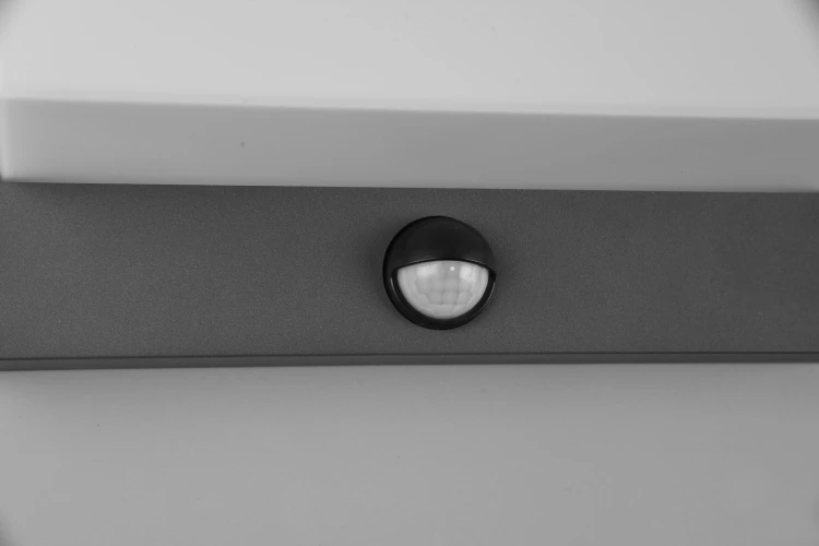240969142_4.jpg