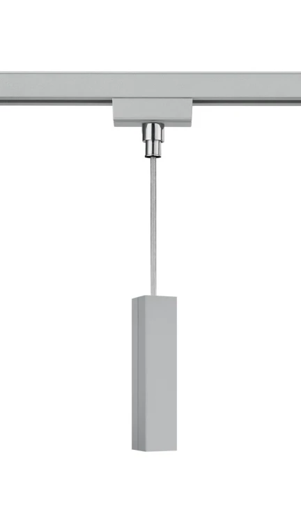 703587.jpg