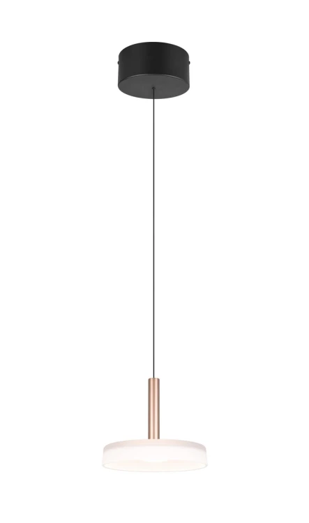 354910165.jpg