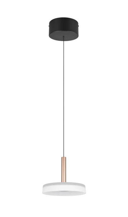 354910165_3.jpg
