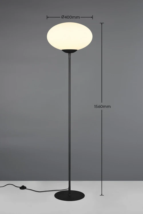 463100132_d.jpg