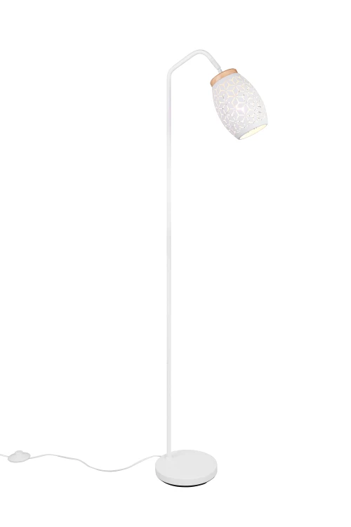 r41571031.jpg