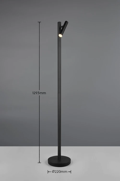R44571132_d.jpg
