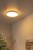 79190-24-61%20sf1.jpg