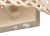 R20101026_1.jpg