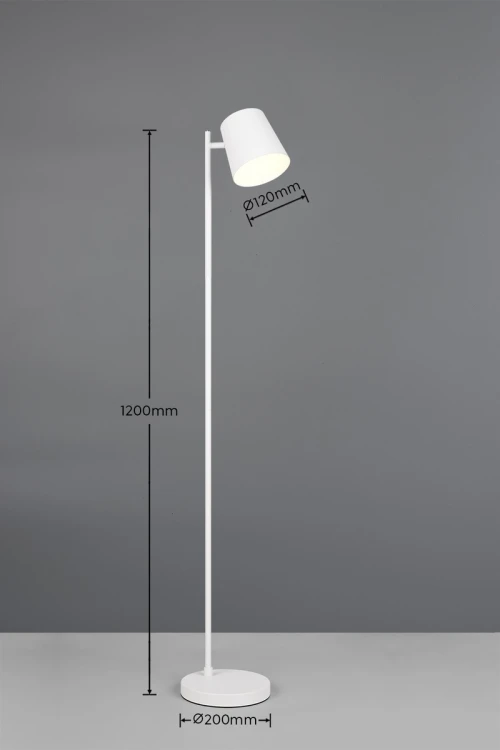 R42111131_d.jpg