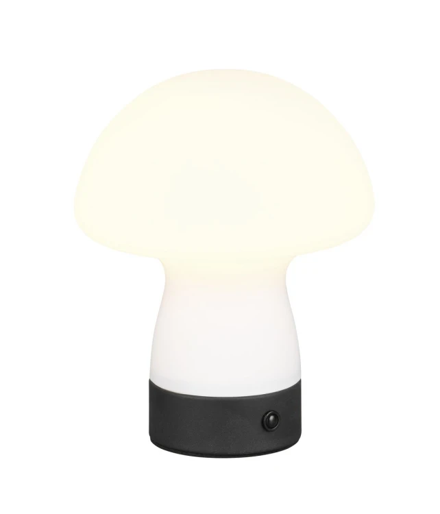 r54981131.jpg