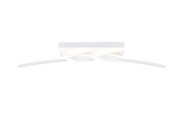 R65791131_1.jpg