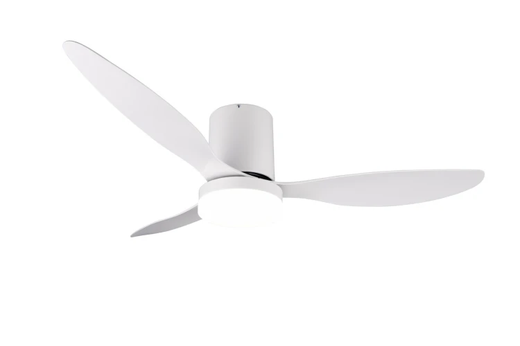 R64202131_1.jpg