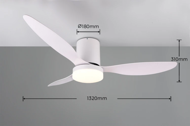 R64202131_d.jpg