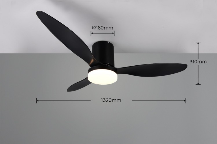 R64202132_d.jpg