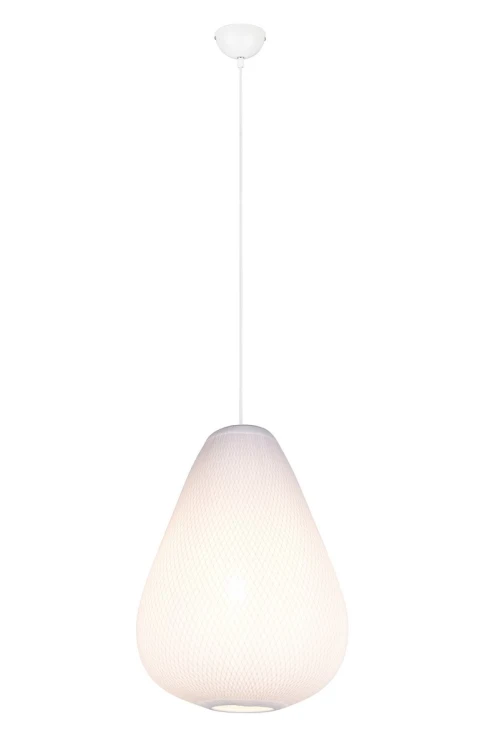 r36241001.jpg