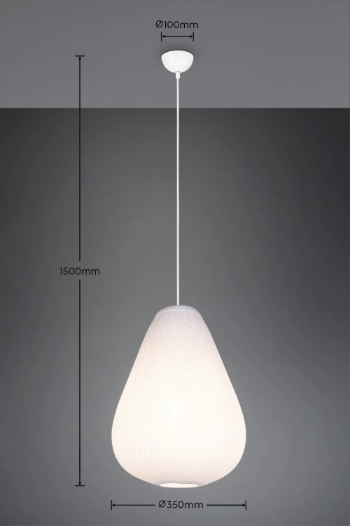 R36241001_d.jpg