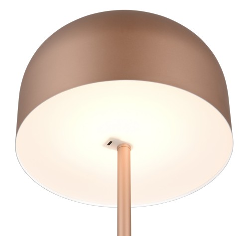 R49151165_1.jpg