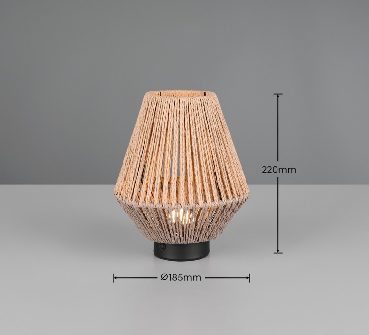 R55991126_d.jpg