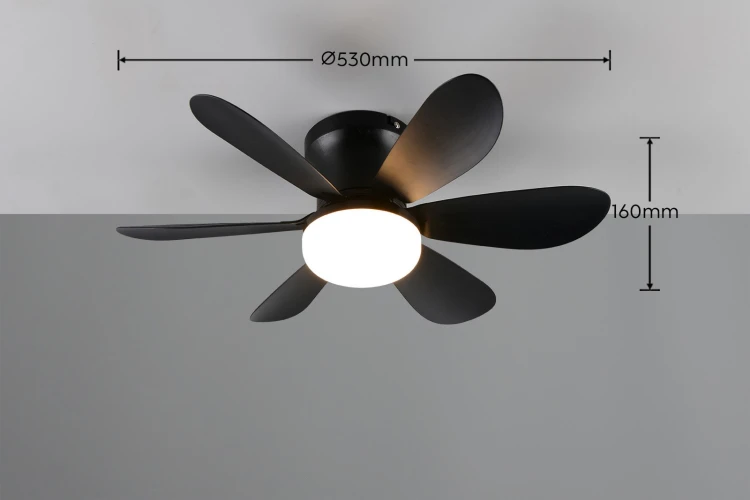 R67462132_d.jpg
