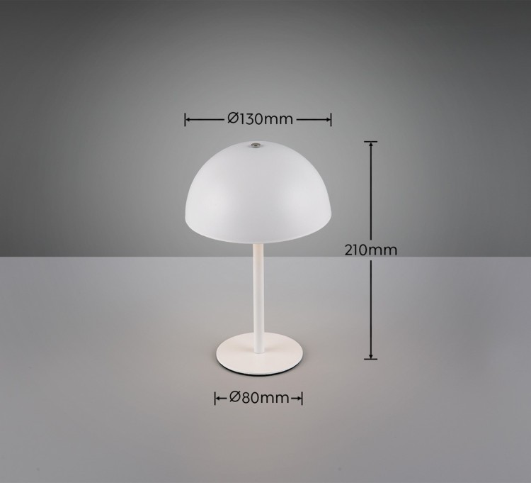 R54891131_d.jpg