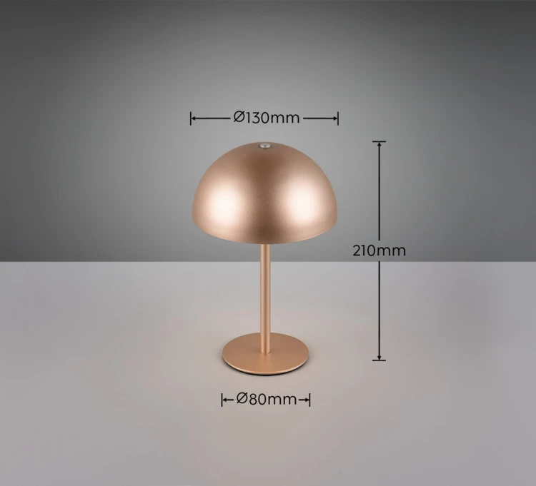 R54891165_d.jpg