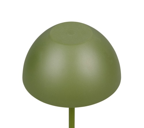 R55601115_1.jpg