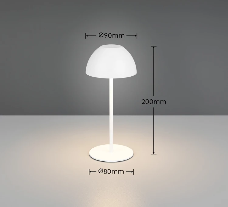 R55601131_d.jpg