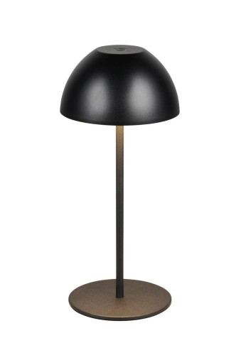 r55601132.jpg