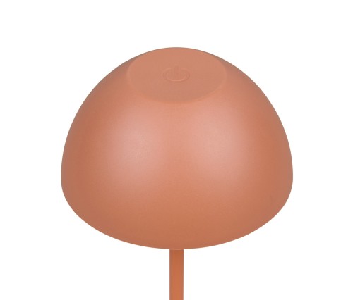 R55601140_1.jpg